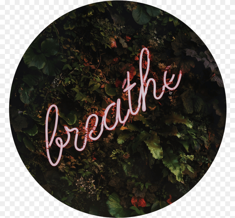 Breathe, Light, Neon, Outdoors, Text Png
