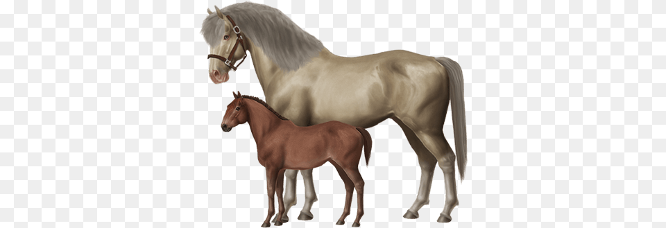 Breed Horses And Create Your Very Own Stable Of Champions Horse World Online, Animal, Foal, Mammal, Colt Horse Free Png Download