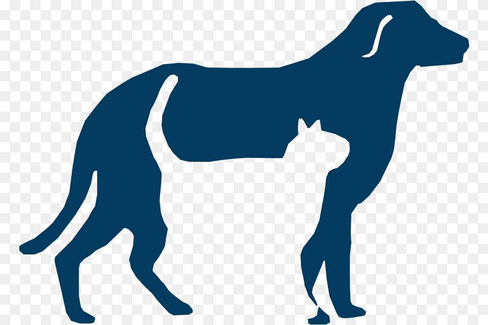 Breedcarnivoreclip Artsporting Groupenglish Foxhoundgreat Shepherdsville Animal Hospital, Person, Mammal, Cat, Pet Png Image