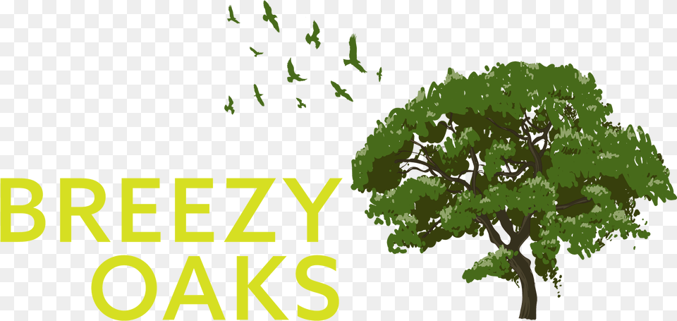 Breezy Oaks Rv Park Download Tree, Plant, Green, Vegetation, Oak Free Transparent Png