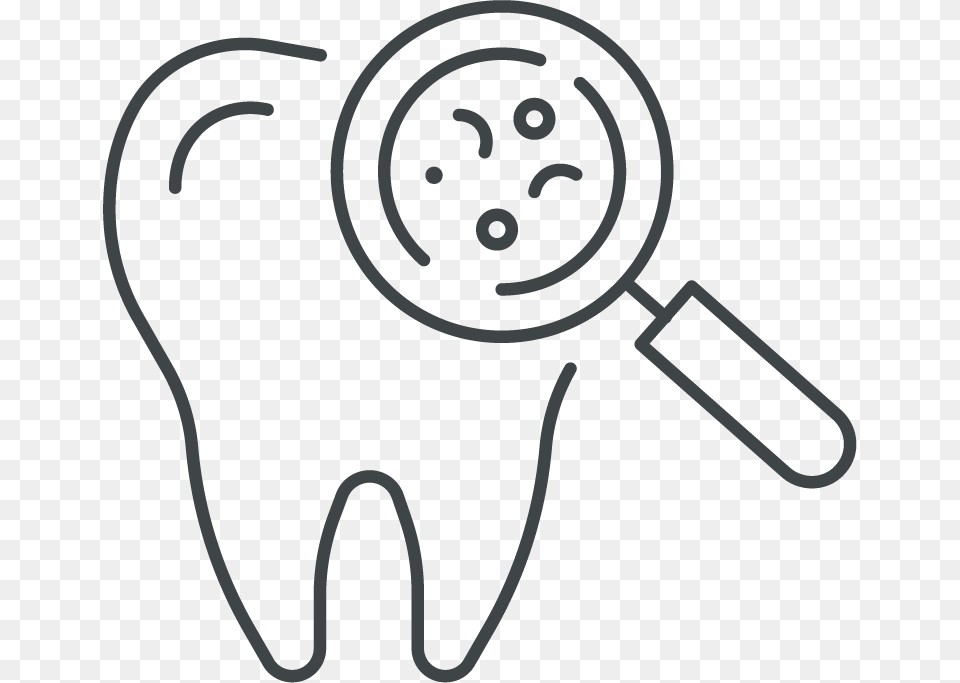 Brenner Family Dental, Animal, Kangaroo, Mammal Png Image