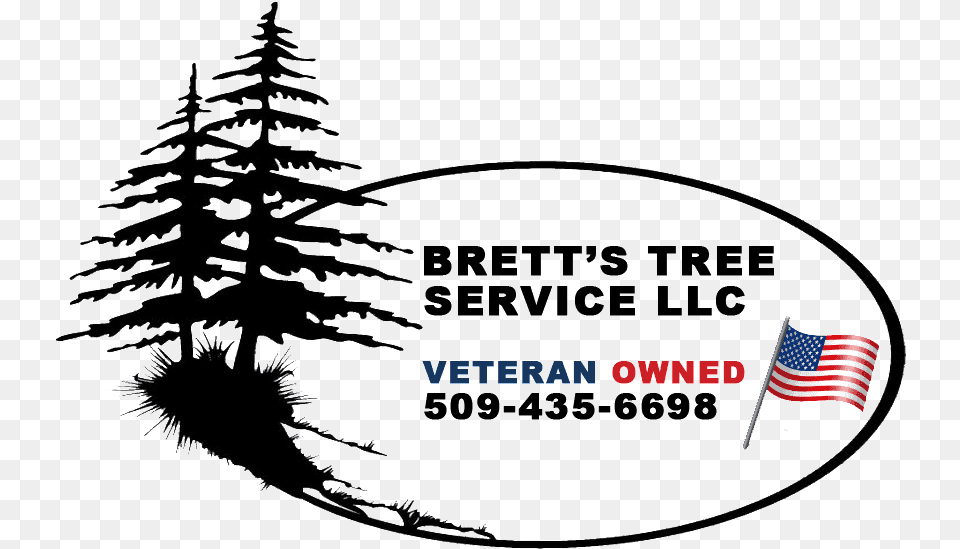 Bretts Tree Service Logo Drawing Pine Trees Tutorial, Plant, American Flag, Flag Free Transparent Png