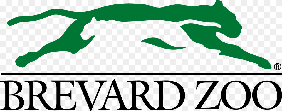 Brevard Zoo Logo, Stencil, Person, Head, Face Png
