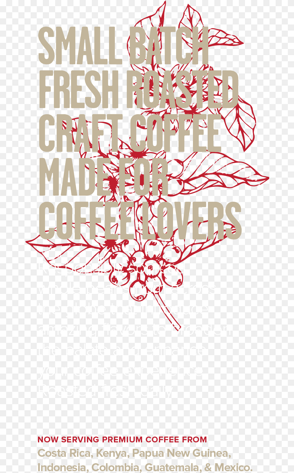 Brew Coffee Spot Graphic Design, Advertisement, Poster, Text Png