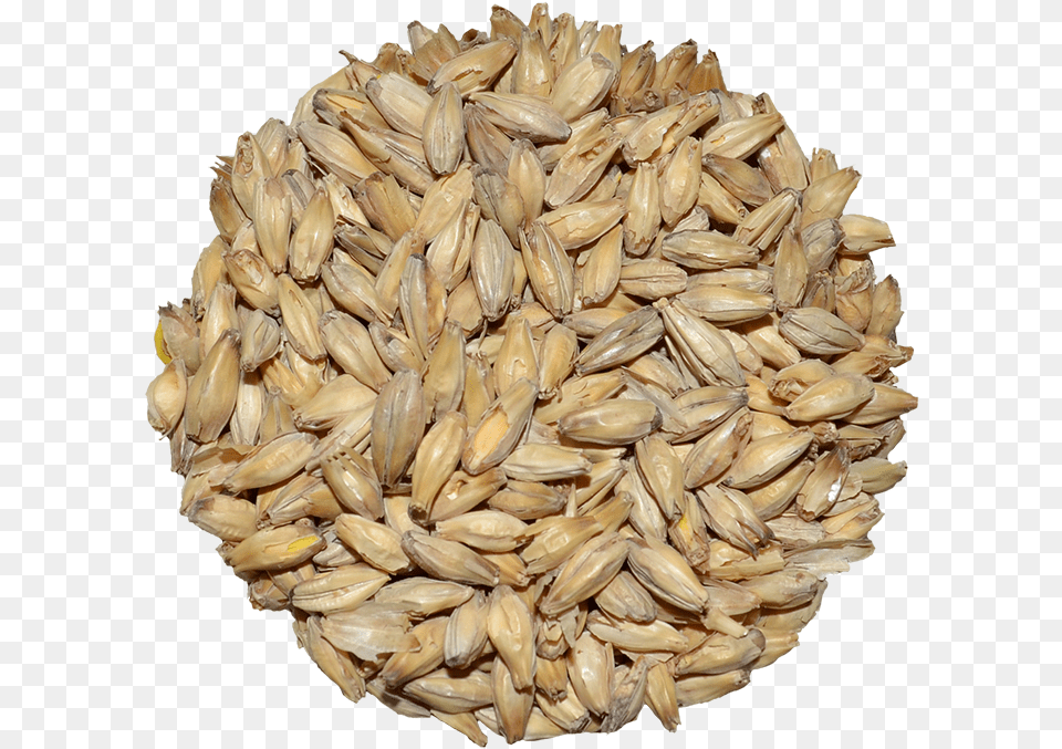 Brewers Malt Rahr 6 Row, Food, Produce, Grain, Wheat Free Png Download