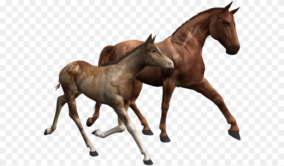 Breyer Valentine And Heartbreaker, Animal, Colt Horse, Horse, Mammal Png Image
