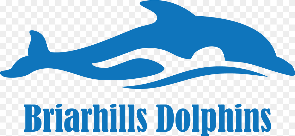 Briarhills Dolphins Swim Team Logo, Animal, Dolphin, Mammal, Sea Life Png Image