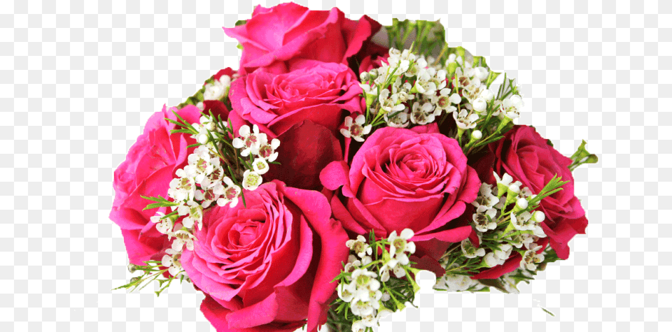 Bridal Bouquet Best Friend Bridal Shower Wishes, Flower, Flower Arrangement, Flower Bouquet, Plant Free Png Download