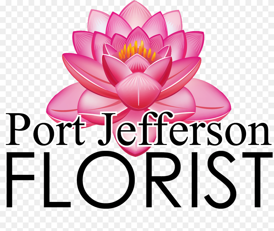 Bridal Bouquet In Port Jefferson Ny Port Jefferson Florist, Dahlia, Flower, Plant, Lily Png