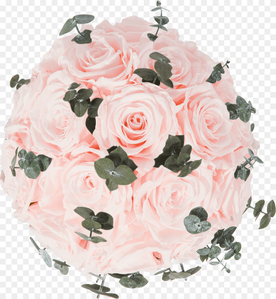 Bridal Pink Eukalyptus Bouquet, Rose, Plant, Flower, Flower Arrangement Png Image
