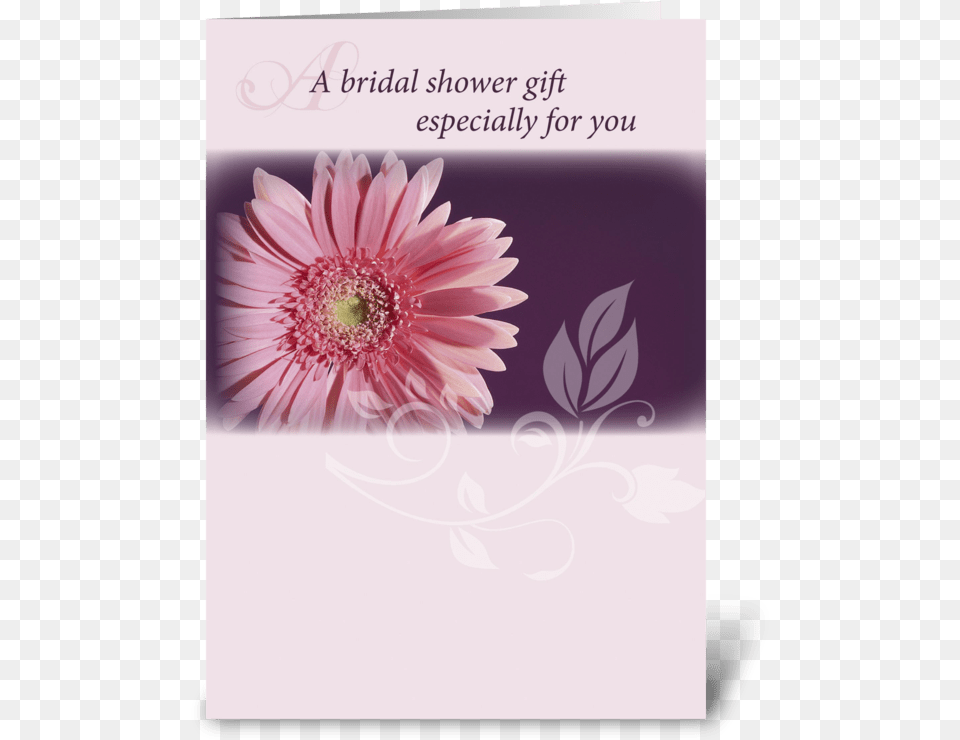 Bridal Shower Pink Daisy Congratulations Greeting Card Bridal Shower Greeting Card Message Religious, Flower, Petal, Plant, Dahlia Free Png Download