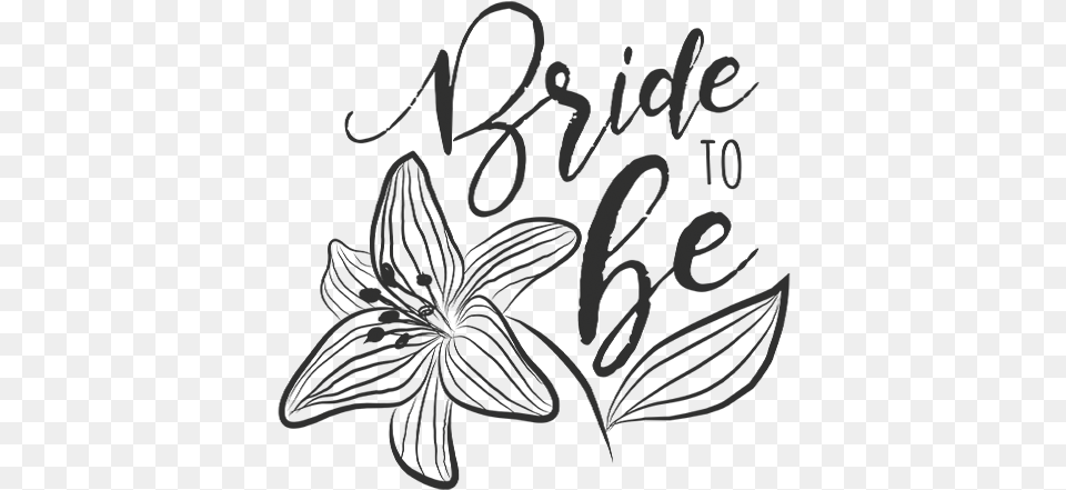 Bride Word Art Lily Family, Text, Handwriting, Person Free Png Download