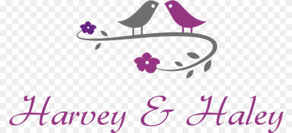 Bridesmaids, Animal, Bird, Purple, People Free Transparent Png