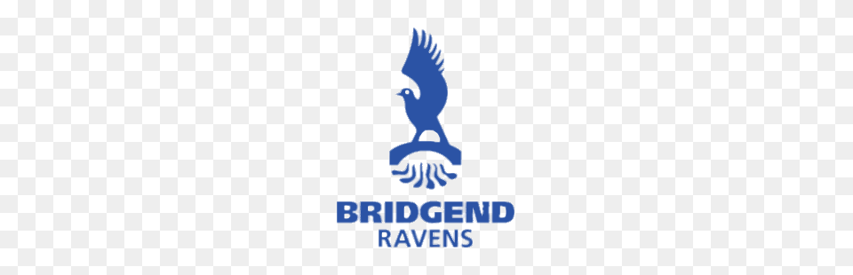 Bridgend Ravens Rugby Logo, Animal, Bird, Kite Bird, Eagle Png Image