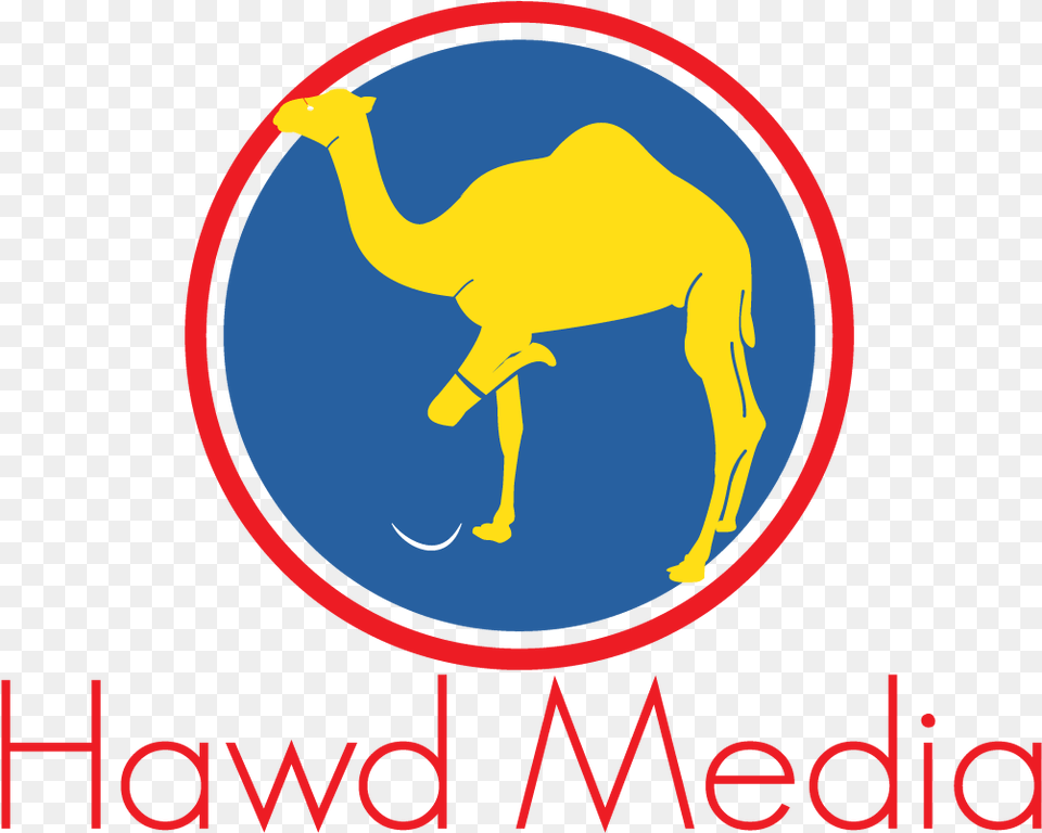 Brief From Client Money Advice Service, Animal, Camel, Mammal, Bird Free Png