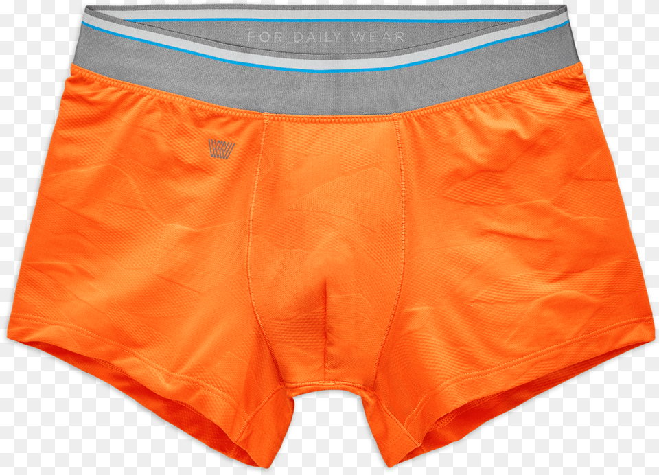 Briefs, Clothing, Underwear, Shorts, Swimming Trunks Png Image