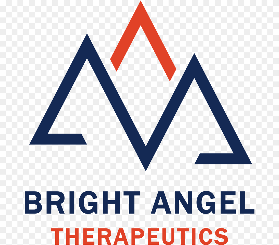 Bright Angel Logo March 25 2018 Landestalsperrenverwaltung Sachsen, Triangle Free Png