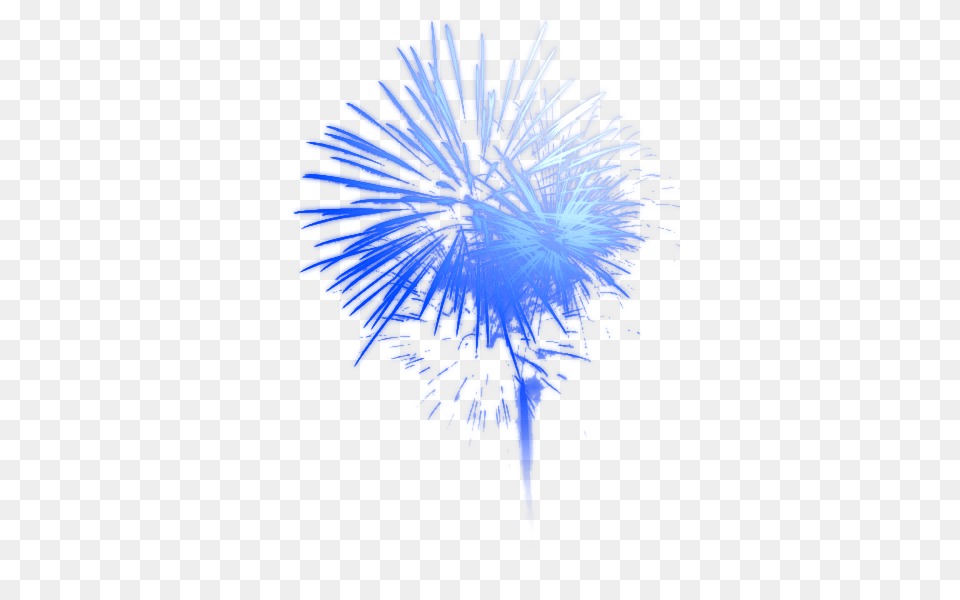 Bright Blue Fireworks, Flower, Plant, Dandelion Free Png Download