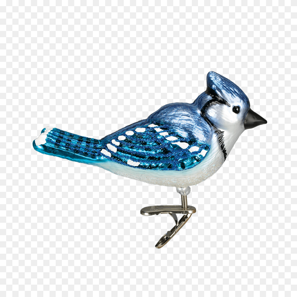 Bright Blue Jay Ornament, Animal, Bird, Blue Jay, Bluebird Png