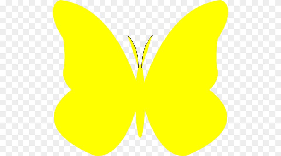 Bright Butterfly Clip Art, Animal, Insect, Invertebrate Free Png Download