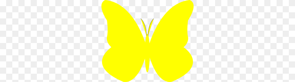 Bright Butterfly Clip Art, Flower, Petal, Plant, Animal Png