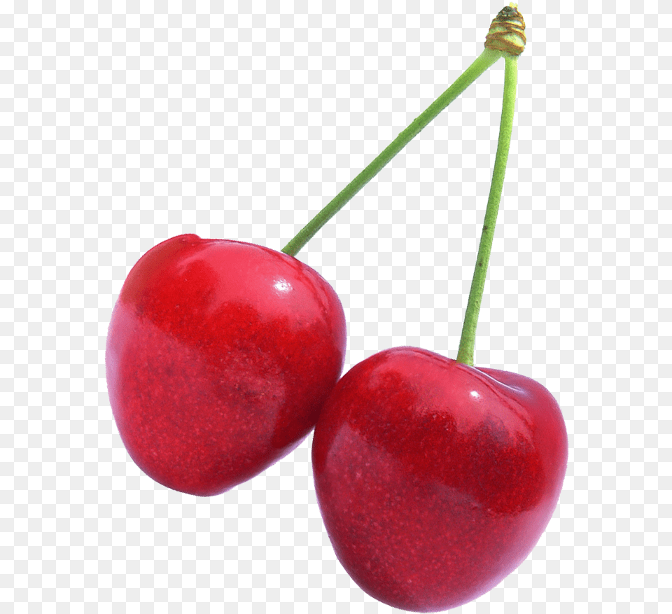 Bright Cherries, Cherry, Food, Fruit, Plant Png