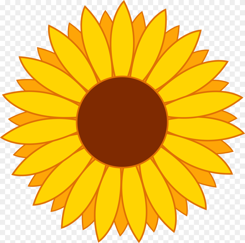 Bright Clipart Yellow Thing Sunflower Clipart, Flower, Plant, Daisy, Petal Png