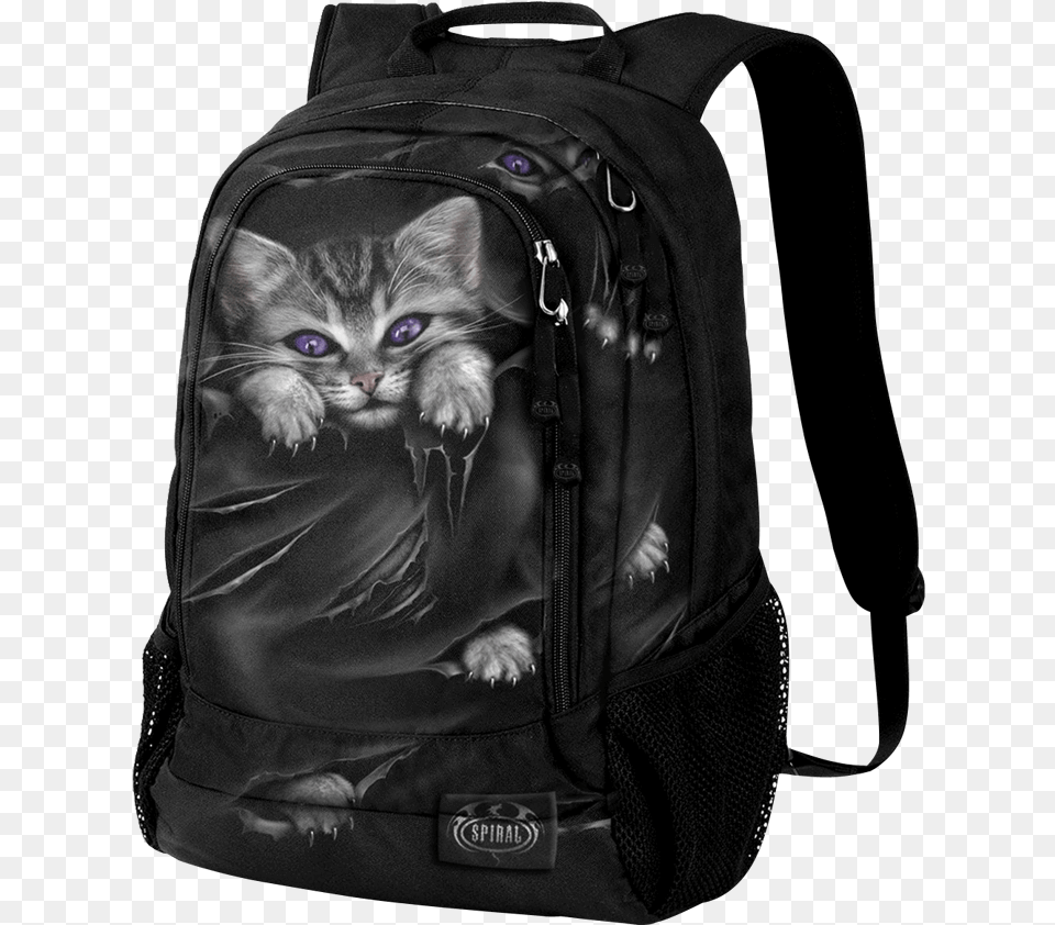 Bright Eyes Backpack Cute Gothic Backpack, Bag, Animal, Cat, Mammal Png