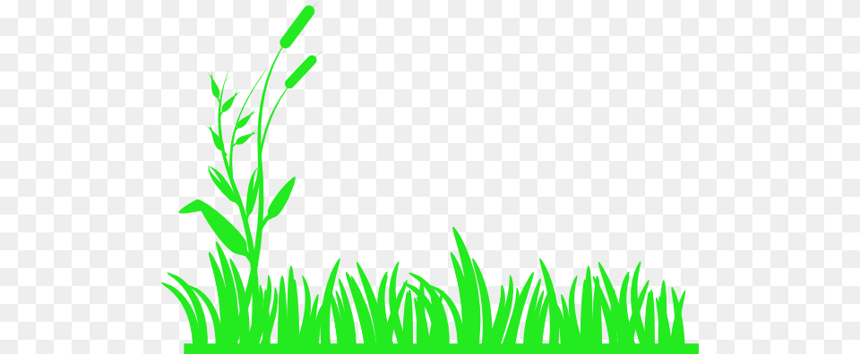 Bright Grass Clip Art, Green, Herbal, Herbs, Plant Free Png Download