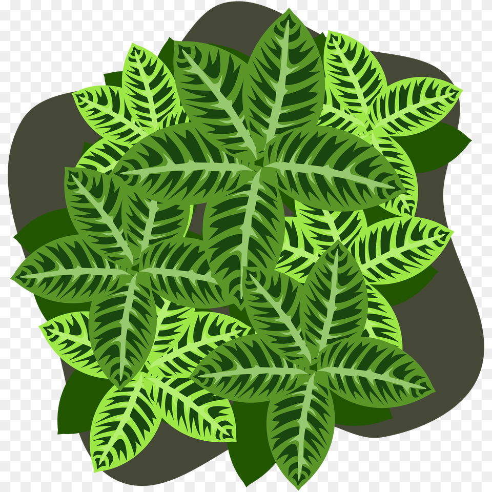 Bright Green Foliage Clipart, Leaf, Plant, Vegetation, Herbal Free Png