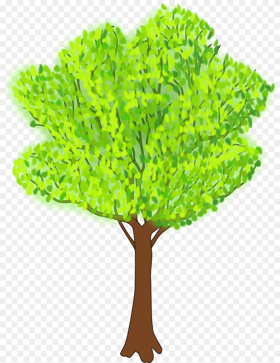 Bright Green Tree With Leaves Clipart, Vegetation, Leaf, Plant, Outdoors Png Image