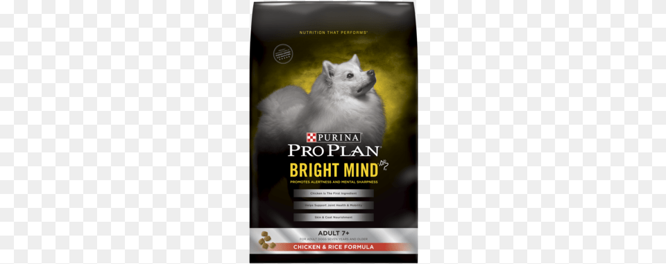 Bright Mind Adult 7plus Purina Pro Plan Bright Mind Adult 7 Small Breed Formula, Advertisement, Poster, Animal, Mammal Png