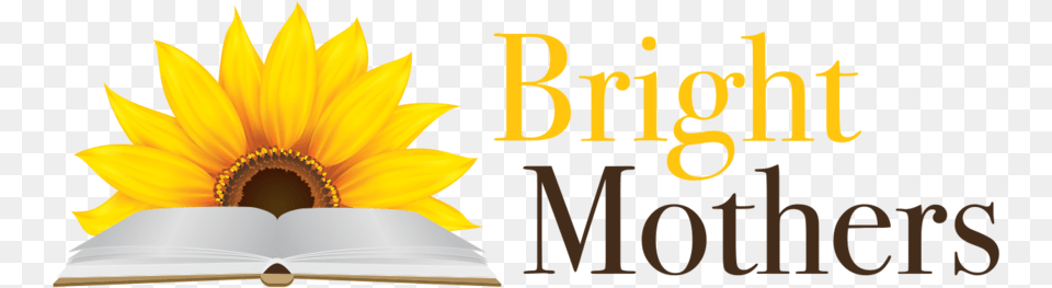 Bright Mothers Logo Final Stacked, Book, Flower, Plant, Publication Free Png Download