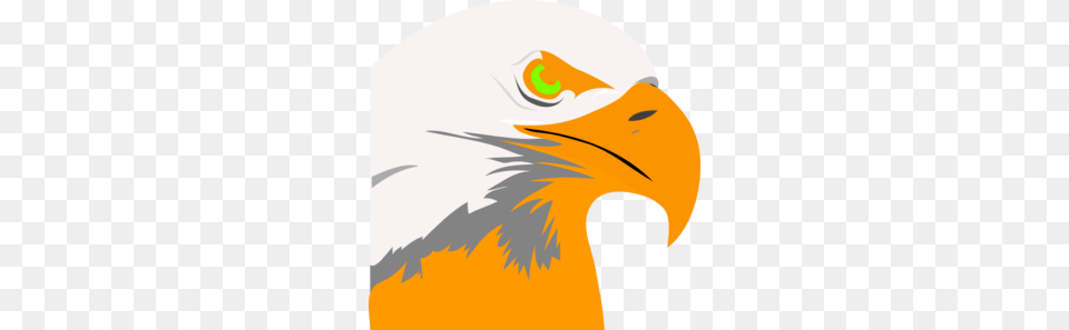 Bright Orange Eagle Clip Art, Animal, Beak, Bird, Fish Free Png Download