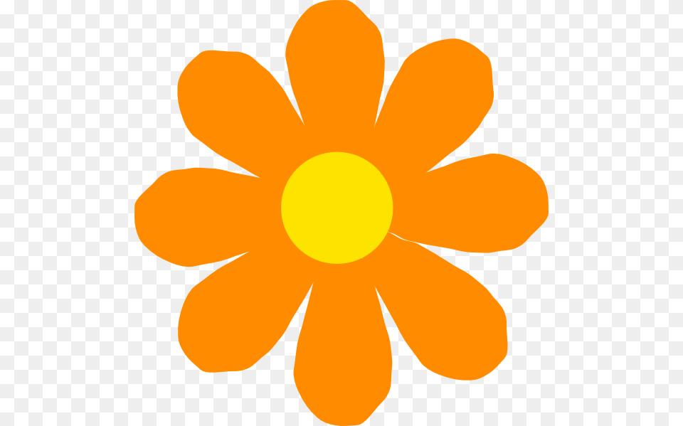 Bright Orange Flower Clip Art, Daisy, Petal, Plant, Anemone Png