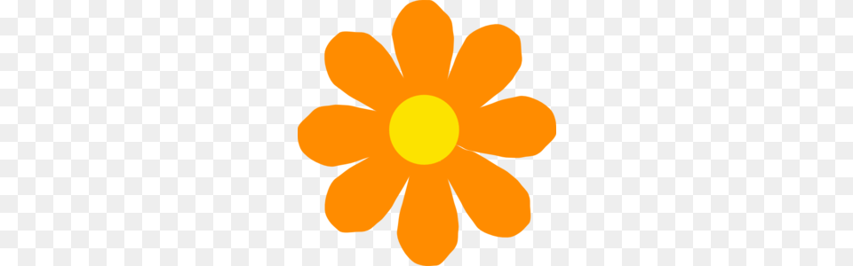 Bright Orange Flower Clip Art, Anemone, Daisy, Plant, Petal Png