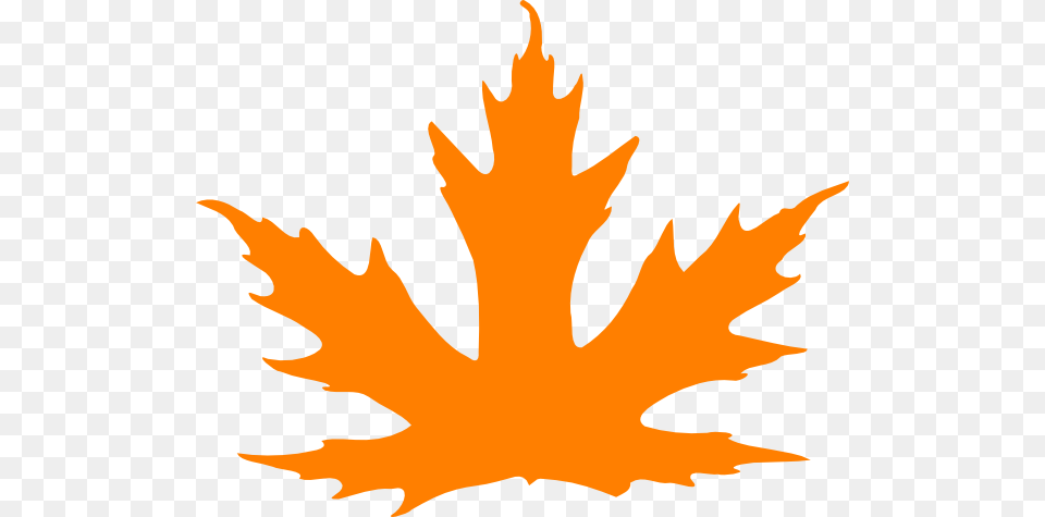 Bright Orange Leaf Clip Art, Maple Leaf, Plant, Tree, Animal Free Png