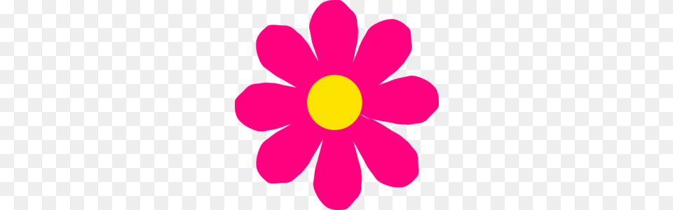Bright Pink Flower Clip Art, Anemone, Daisy, Petal, Plant Png