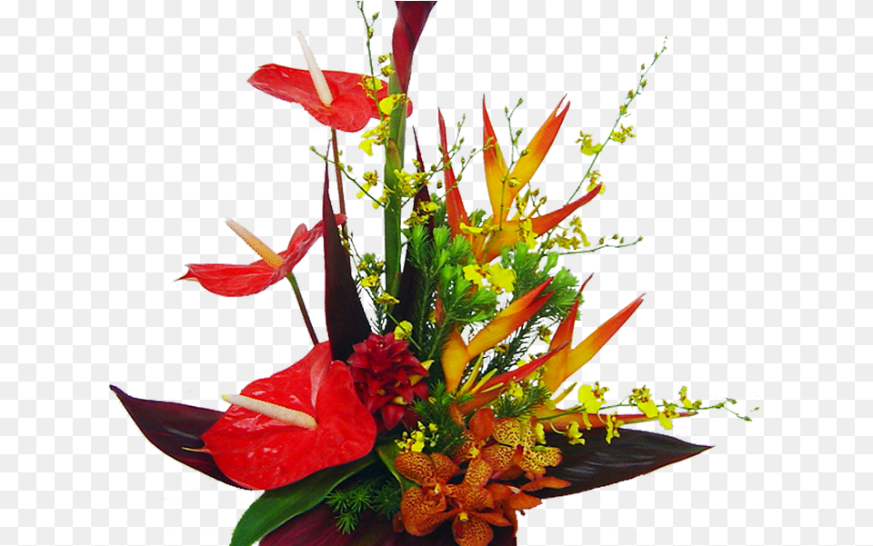 Bright Red Tropical Hawaiian Flowers Tropical Bouquet, Flower, Flower Arrangement, Flower Bouquet, Plant Free Png Download
