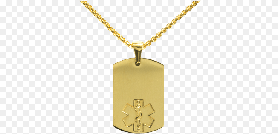 Bright Shiny Gold Plated Stainless Steel Medical Id Golden Dog Chain, Accessories, Jewelry, Necklace, Pendant Free Png