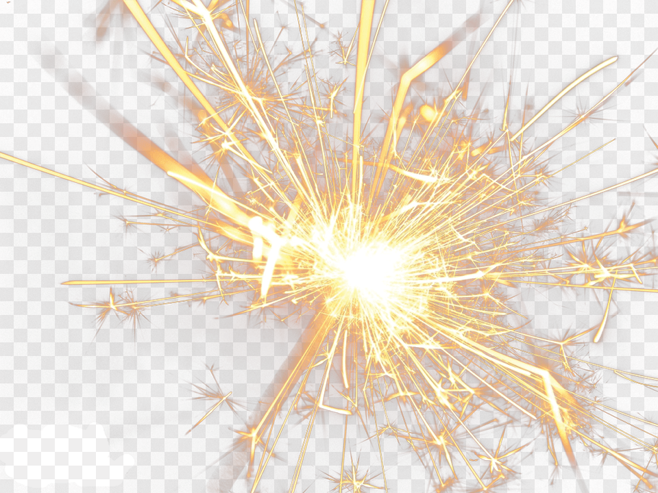 Bright Sparks, Fireworks, Flare, Light, Plant Png Image
