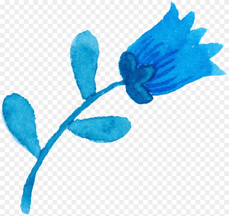 Bright Watercolor Hand Painted Flowers Decorative Watercolor Painting, Flower, Leaf, Plant, Petal Free Transparent Png