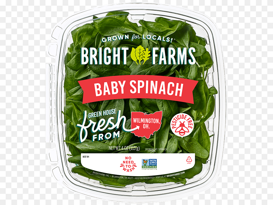 Brightfarms Baby Spinach Spinach, Food, Leafy Green Vegetable, Plant, Produce Png Image