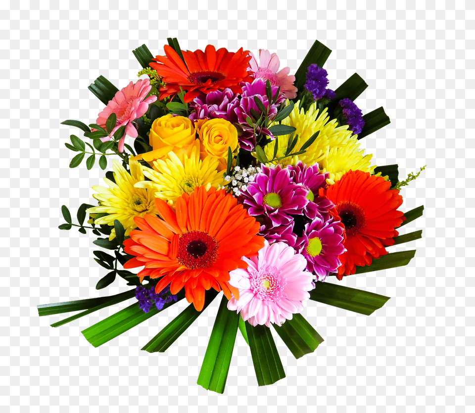 Brightly Coloured Bouquet, Daisy, Flower, Flower Arrangement, Flower Bouquet Png Image