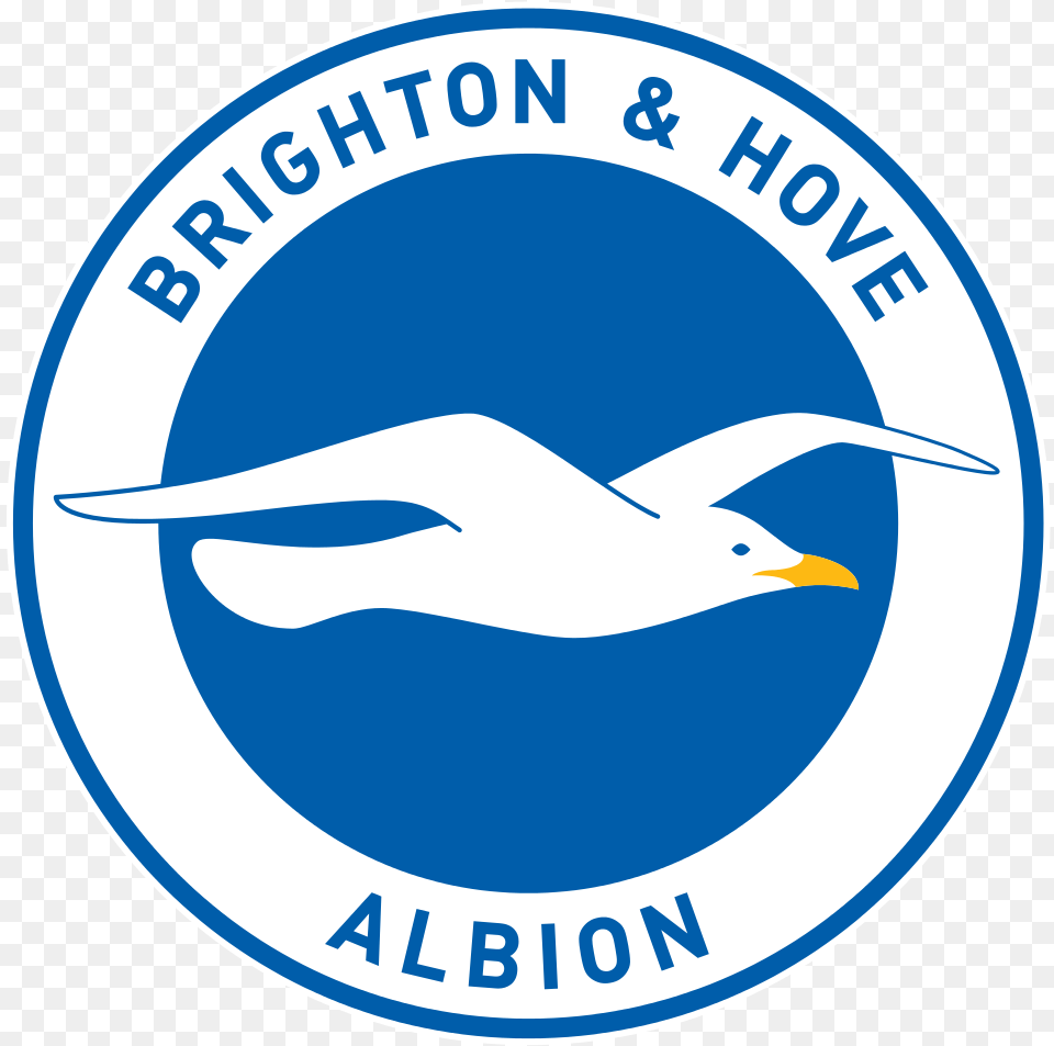 Brighton Amp Hove Albion V Leicester City Fox Travel Brighton And Hove Albion Logo, Animal, Bird, Seagull, Waterfowl Png Image