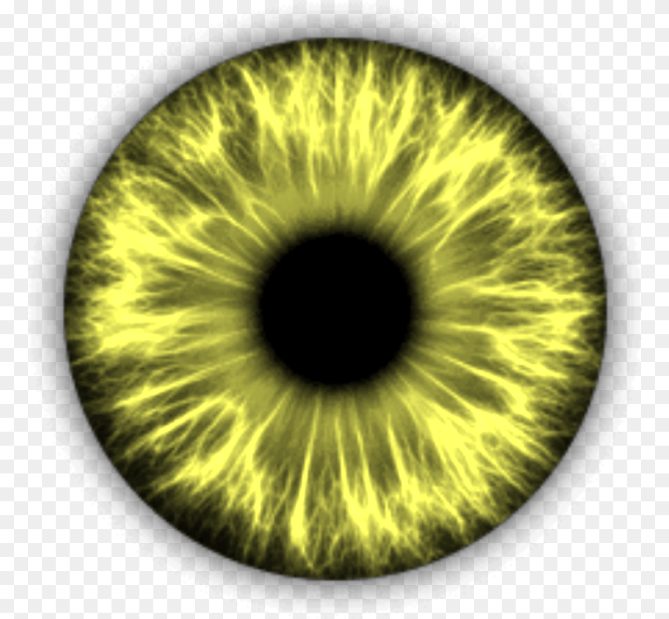 Brightyellow Eye Yellow Cat Eyes Eyes Editing, Accessories, Sphere, Pattern, Night Free Png Download