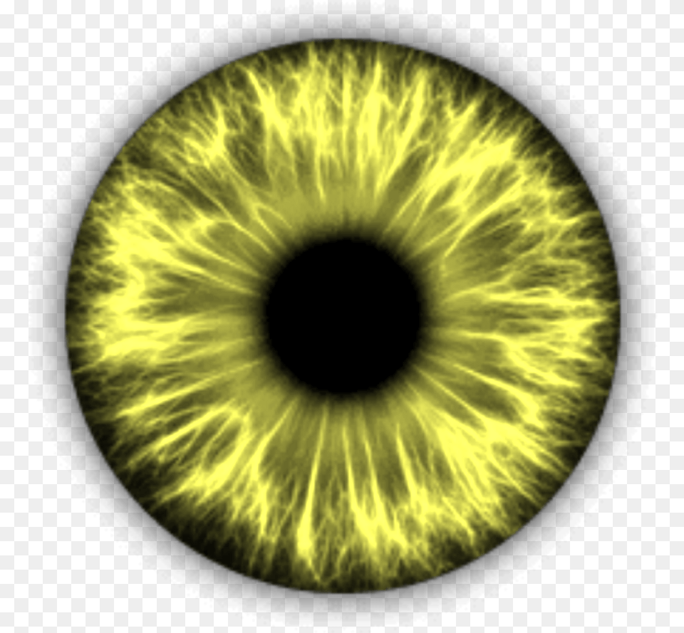 Brightyellow Eye Yellow Cat Eyes Ophthalmic Assistant A Text For Allied, Accessories, Sphere, Pattern, Night Free Png