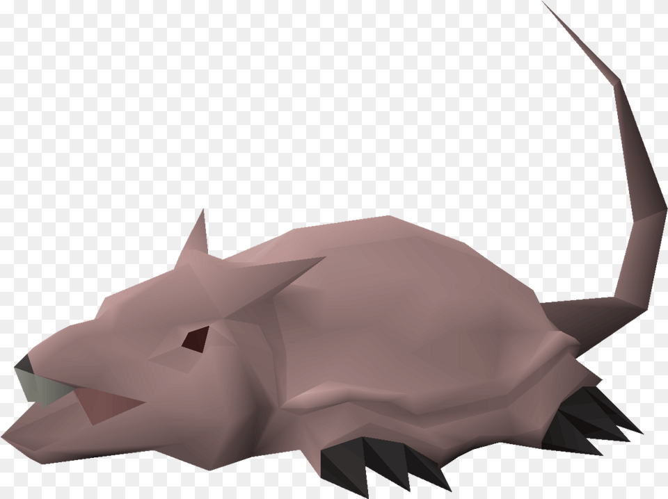 Brine Rat Black Rhinoceros, Animal, Fish, Sea Life, Shark Free Transparent Png