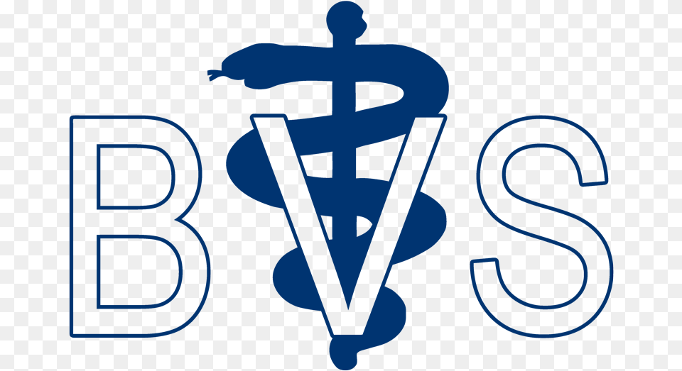 Brink Veterinary Service Veterinary Symbol, Light, Person, Logo, Text Png Image
