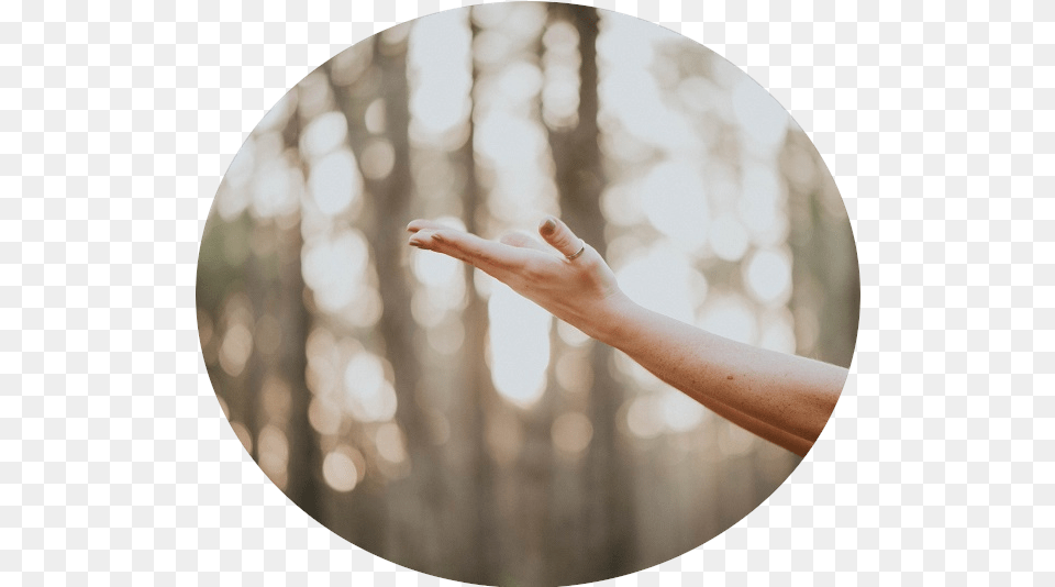 Brisbane Psychologists Qualia Psychology Reiki, Photography, Arm, Body Part, Finger Free Transparent Png